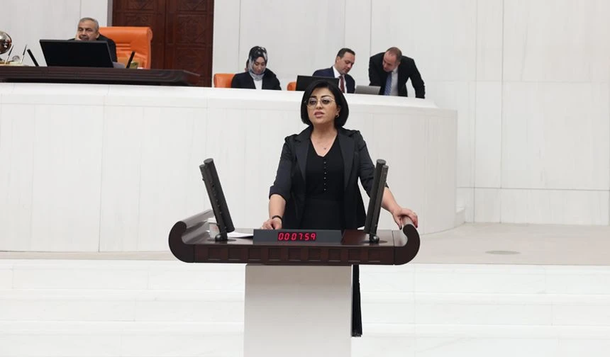 Öznur Bartın Yüksekova Havalimanı’nı TBMM Gündemine Taşıdı