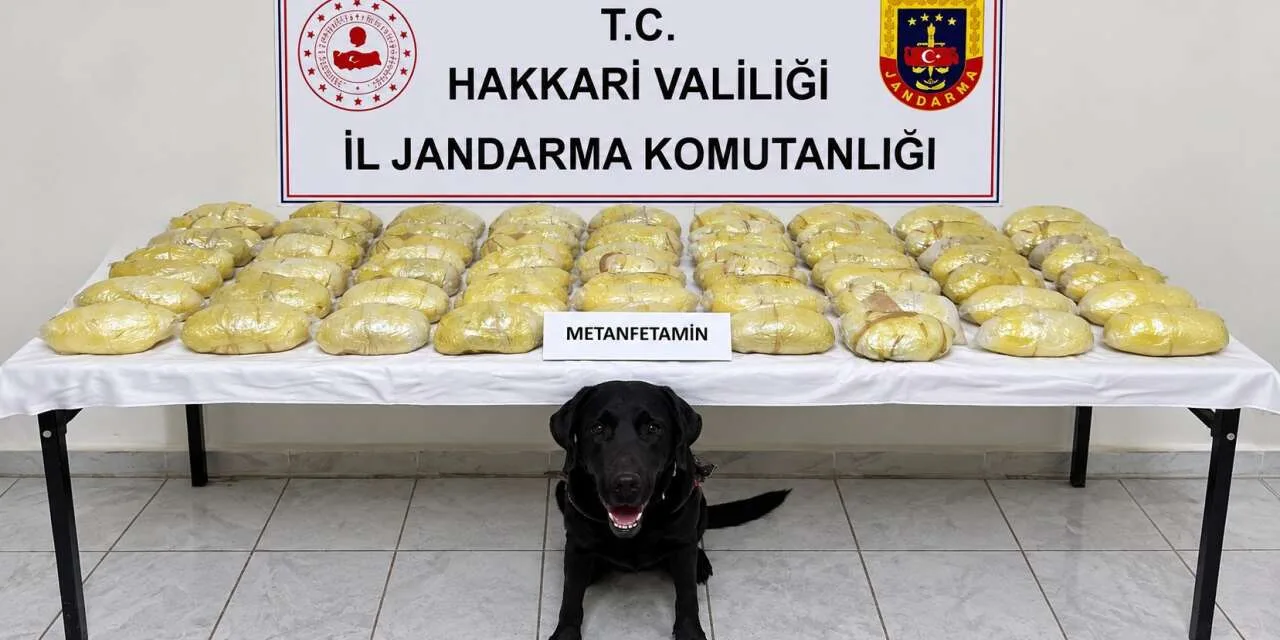 Hakkâri’de TIR’a jandarma baskını: 44 pakette 21 kilo 700 gram uyuşturucu çıktı