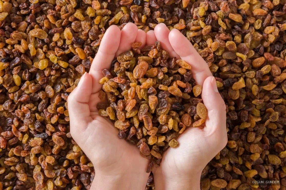 Çekirdeksiz kuru üzüm alım fiyatları açıklandı