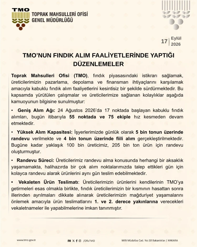 TMO’dan fındık alımında yeni ayar... Kota yüzde 30 artırılacak