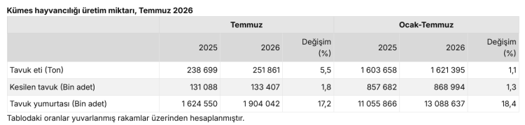 Kümes hayvancılığında üretim arttı! Tavuk yumurtası ve etinde yükseliş